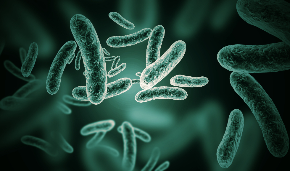 Antimicrobials - Green Science Policy Institute