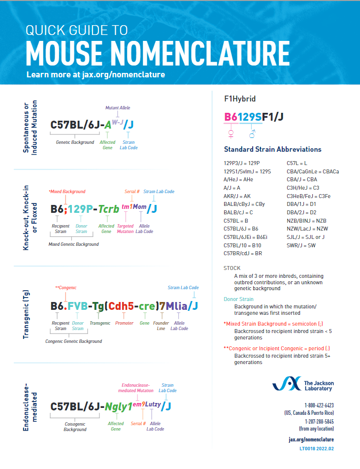 Mouse Nomenclature.